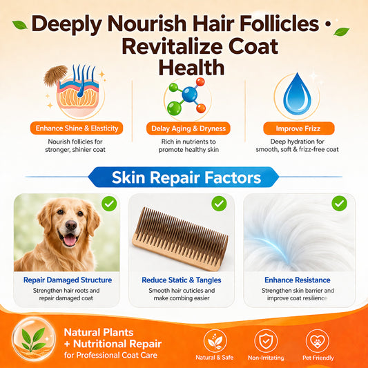 Kopipets Amino Acid Pets Shower Gel 500ml