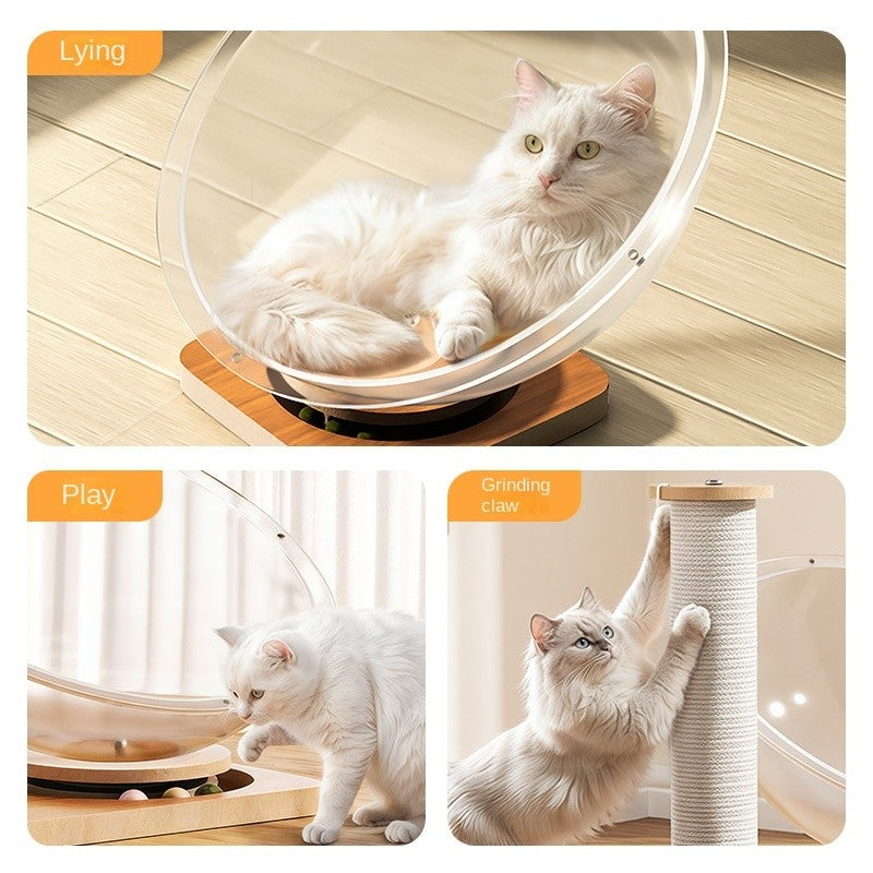 【4-Season】Space Capsule Cat Bed - Acrylic Cooling Pod Solid Wood Turntable Toy