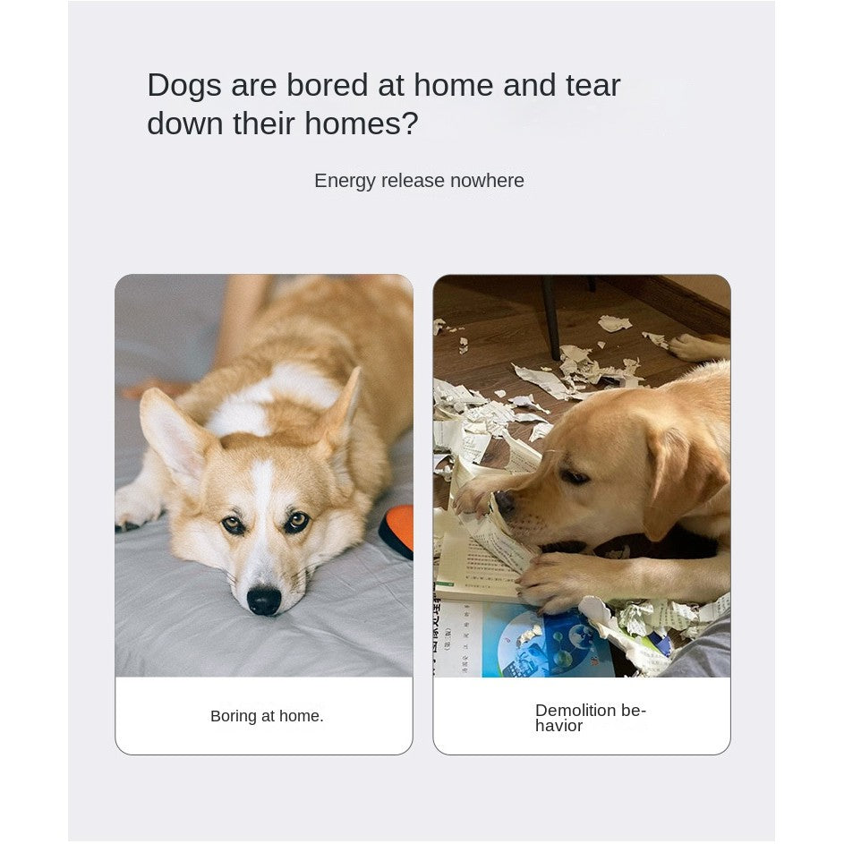 Crinkle Paper Dog Toy – Realistic Newspaper Design with Squeaker | Ultra-Durable Chew & Mental Stimulation