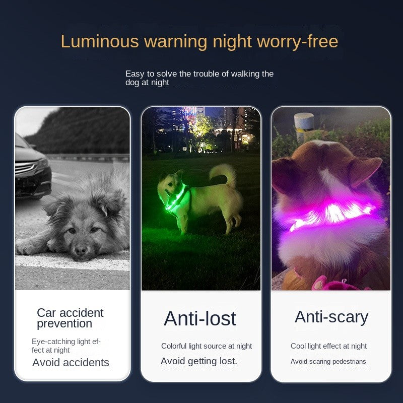 Refillable LED Pet Collar - Glowing Safety Necklace for Dogs & Cats, USB Charging, 10 Color Modes, Adjustable