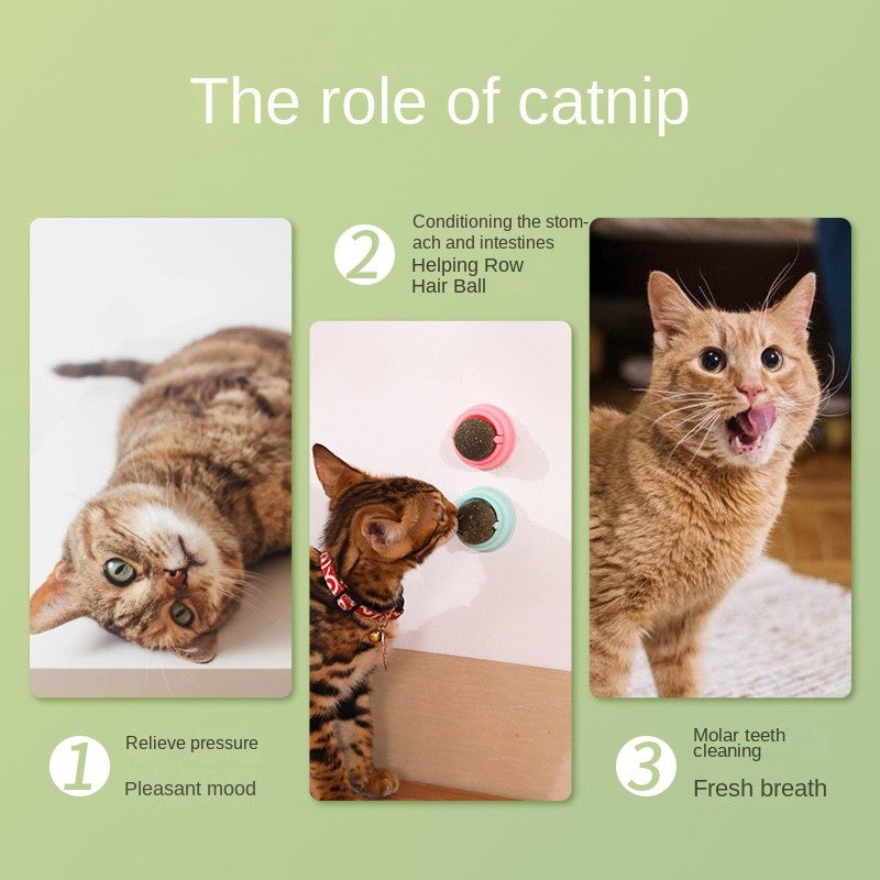 Crab & Avocado Catnip Toys - Self-Rolling Dental Chew Ball with Catnip | for Teeth Cleaning & Play