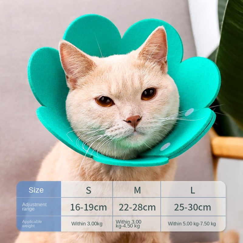 Cat Recovery Collar - Soft E-Collar for Post-Surgery, Anti-Lick & Scratch Protection