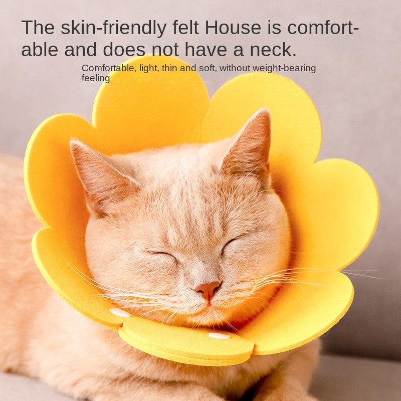 Cat Recovery Collar - Soft E-Collar for Post-Surgery, Anti-Lick & Scratch Protection