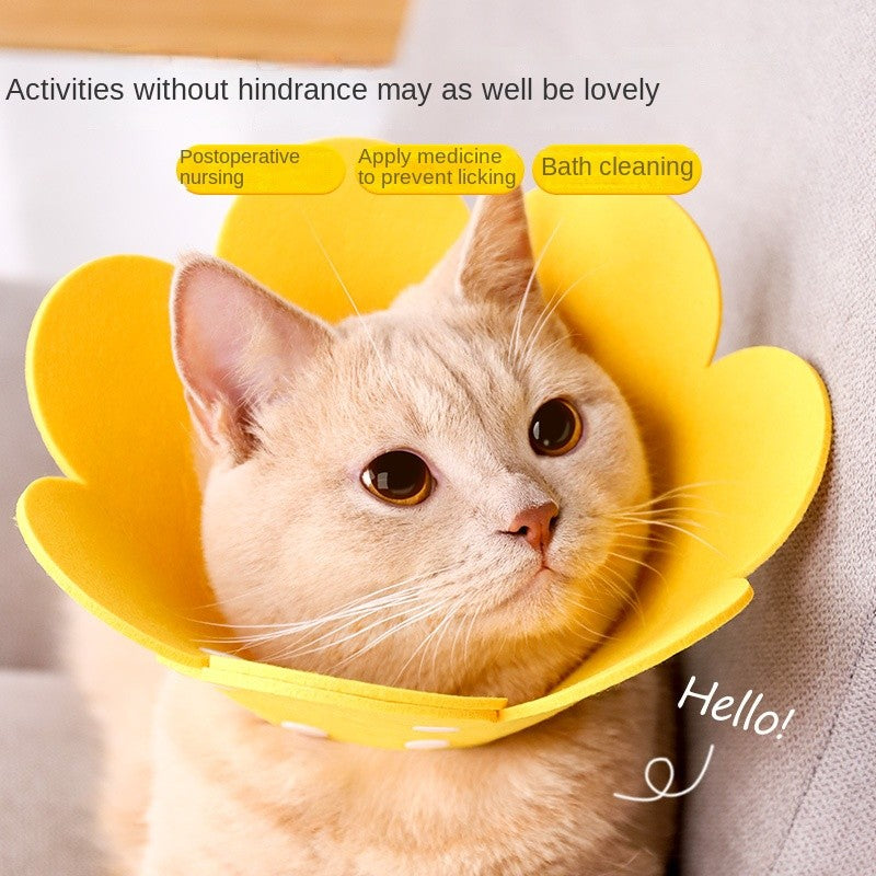 Cat Recovery Collar - Soft E-Collar for Post-Surgery, Anti-Lick & Scratch Protection