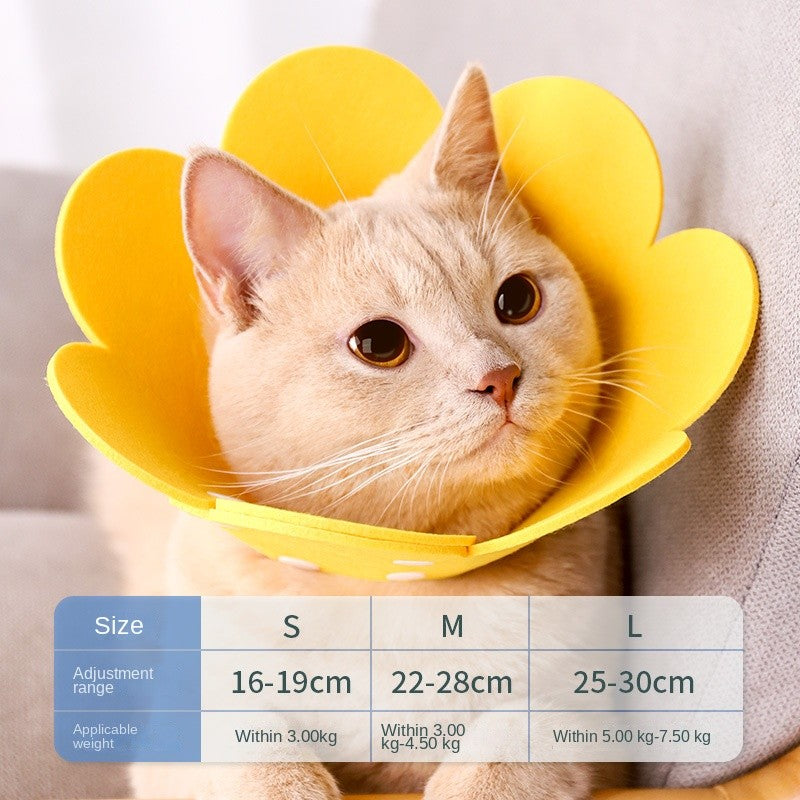 Cat Recovery Collar - Soft E-Collar for Post-Surgery, Anti-Lick & Scratch Protection