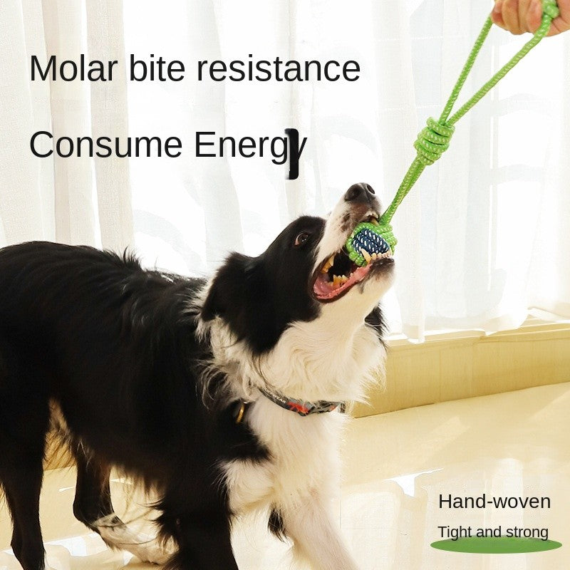 Indestructible Dog Rope Toy - Dental Chew for Small/Medium/Large Breeds
