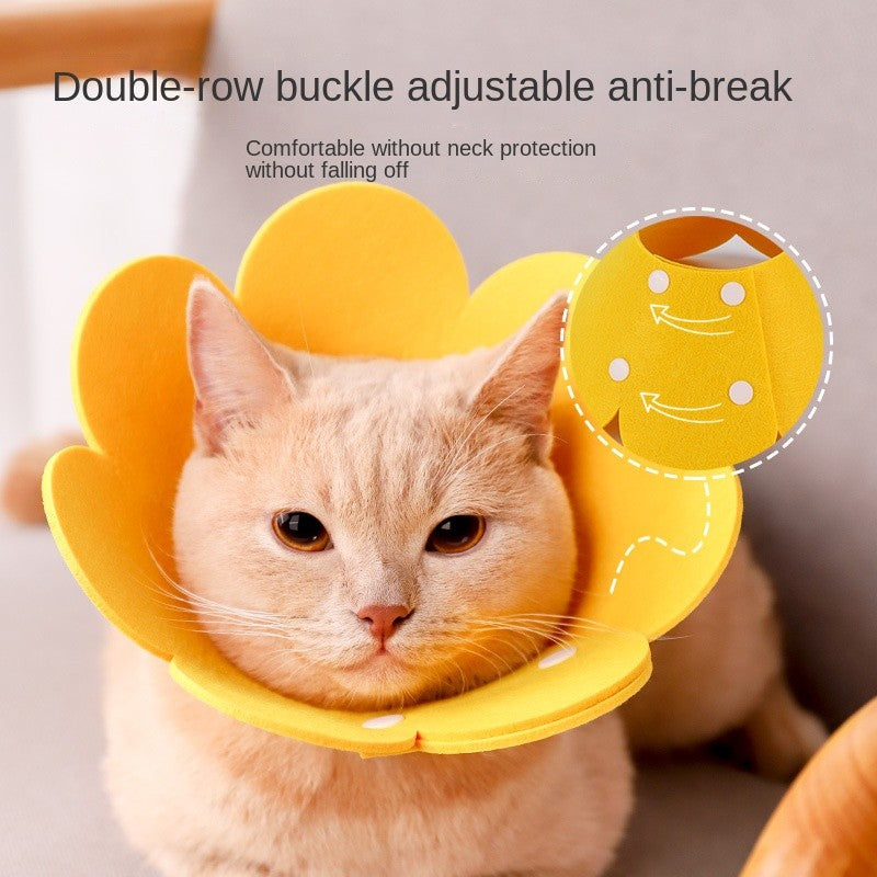 Cat Recovery Collar - Soft E-Collar for Post-Surgery, Anti-Lick & Scratch Protection