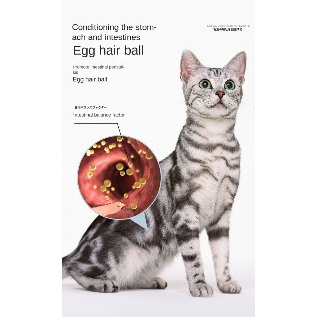 Interactive Cat Toy Ball with Silvervine & Catnip - Chewable Teaser with Bell for Boredom Relief