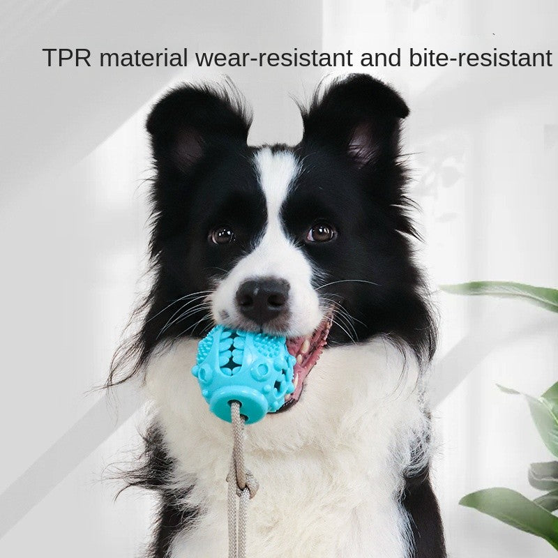Tough Dog Chew Toy with Suction Cup - Interactive Slow Feeder & Tug-of-War Toy for Boredom Relief