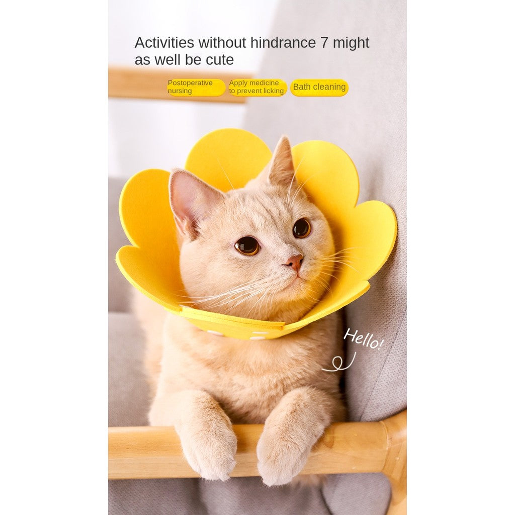 Cat Recovery Collar - Soft E-Collar for Post-Surgery, Anti-Lick & Scratch Protection