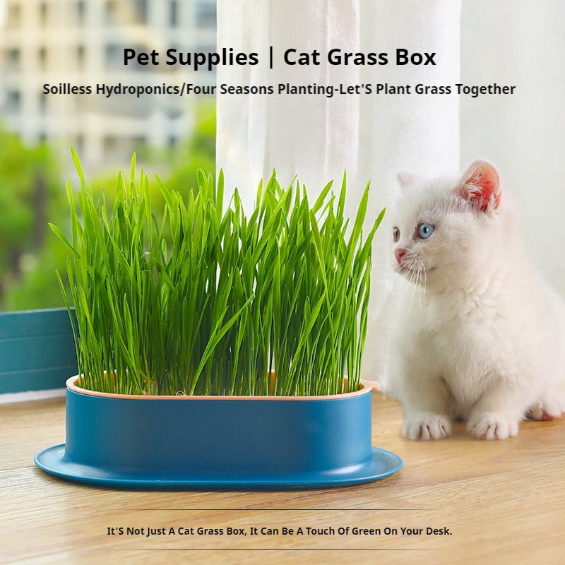 Kopipets Local Seller Cat Planter Box With Cat Wheat Grass Seeds Grow Cat Snacks Easily No Soil Need