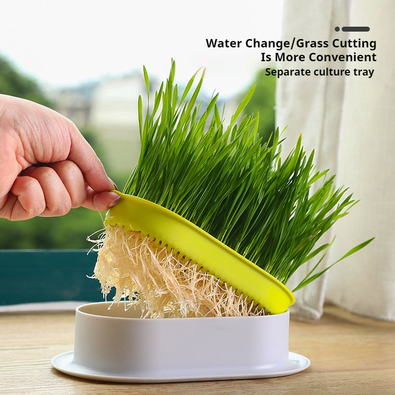 Kopipets Local Seller Cat Planter Box With Cat Wheat Grass Seeds Grow Cat Snacks Easily No Soil Need