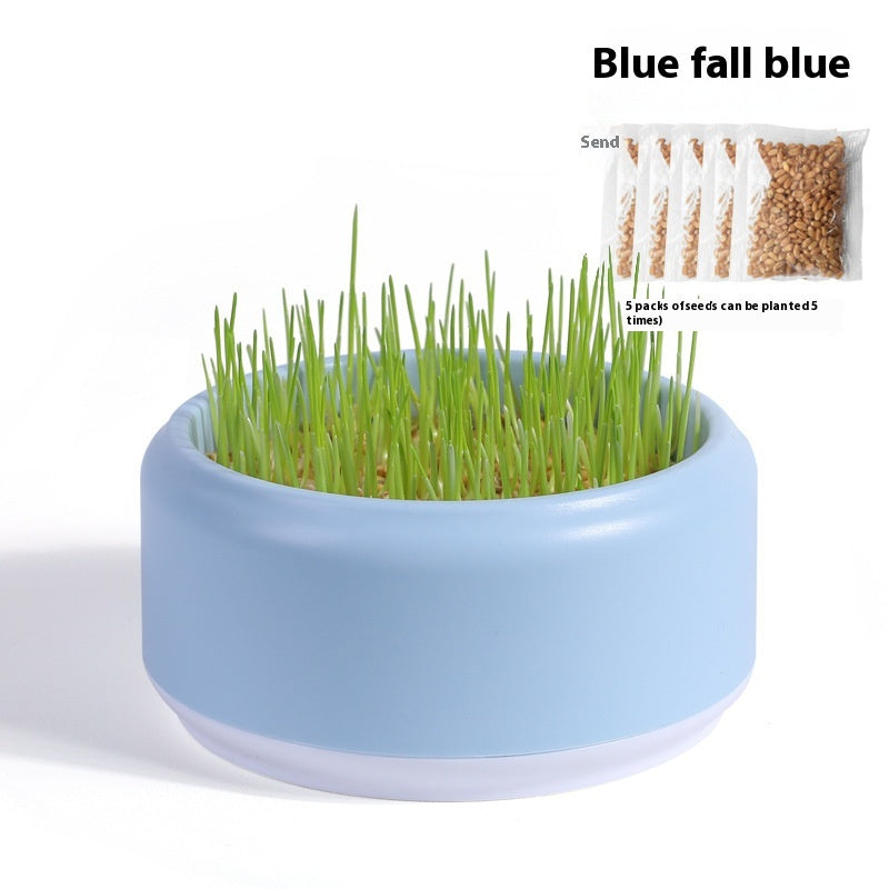 Kopipets Local Seller Cat Planter Box With Cat Wheat Grass Seeds Grow Cat Snacks Easily No Soil Need