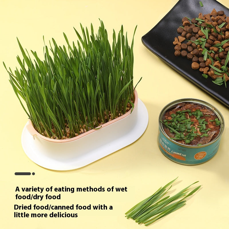 Kopipets Local Seller Cat Planter Box With Cat Wheat Grass Seeds Grow Cat Snacks Easily No Soil Need
