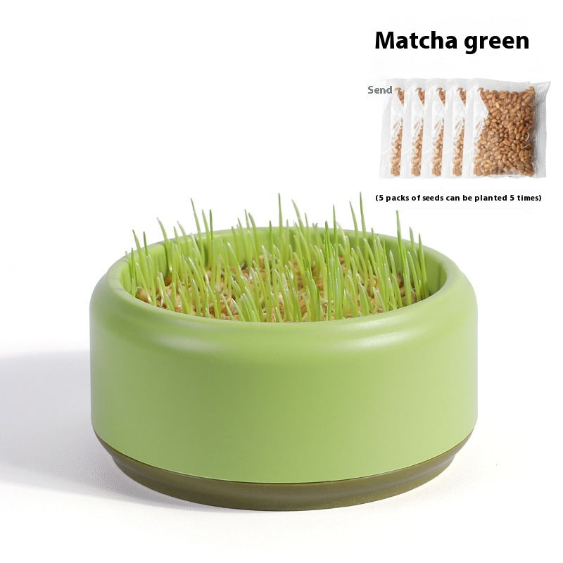 Kopipets Local Seller Cat Planter Box With Cat Wheat Grass Seeds Grow Cat Snacks Easily No Soil Need