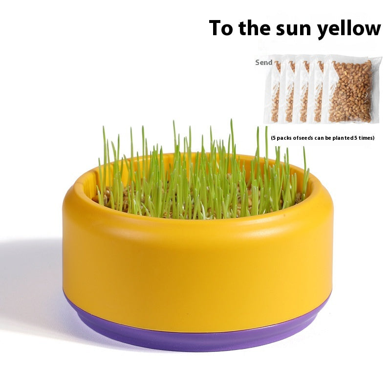 Kopipets Local Seller Cat Planter Box With Cat Wheat Grass Seeds Grow Cat Snacks Easily No Soil Need