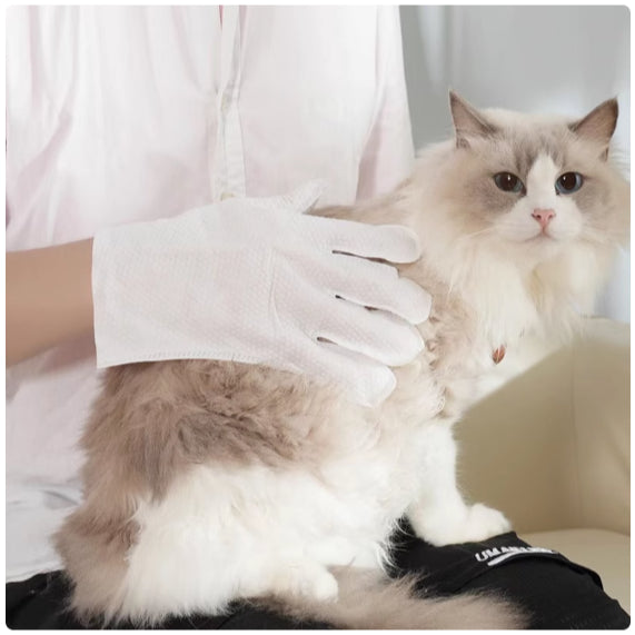 Kopipets Pet Disposable Grooming Mitts Gloves (2pcs) No-Rinse Bath Wipes Cat&Dog&Rabbit Odor Control
