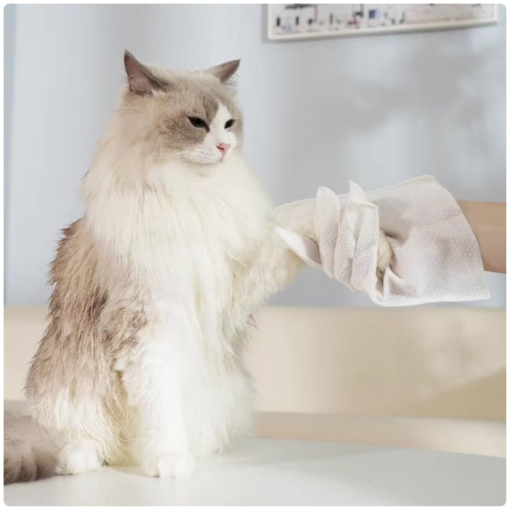Kopipets Pet Disposable Grooming Mitts Gloves (2pcs) No-Rinse Bath Wipes Cat&Dog&Rabbit Odor Control