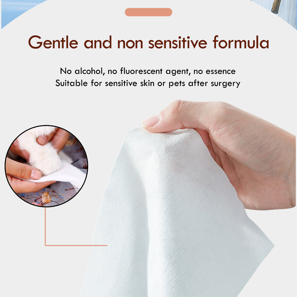 Kopipets Local Seller Moist Pet Wet Wipes 165mm×120mm 368g Alcohol-Free Extra Moist 30 Day Fresh