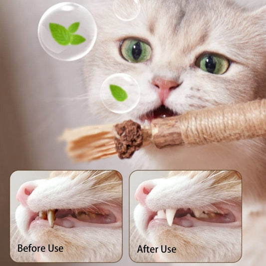 Kopipets Natural Cat Chew Stick Matatabi Catnip Rope Dental Toy for Kittens Teeth Cleaning Boredom Relief