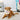 Plush cake dog toy