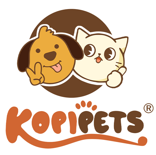 Kopipets