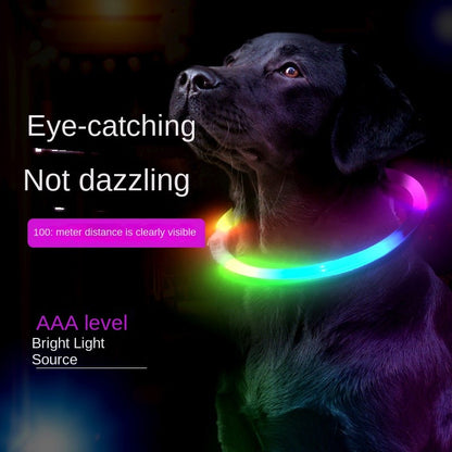 Refillable LED Pet Collar - Glowing Safety Necklace for Dogs & Cats, USB Charging, 10 Color Modes, Adjustable