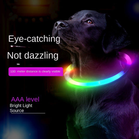 Refillable LED Pet Collar - Glowing Safety Necklace for Dogs & Cats, USB Charging, 10 Color Modes, Adjustable