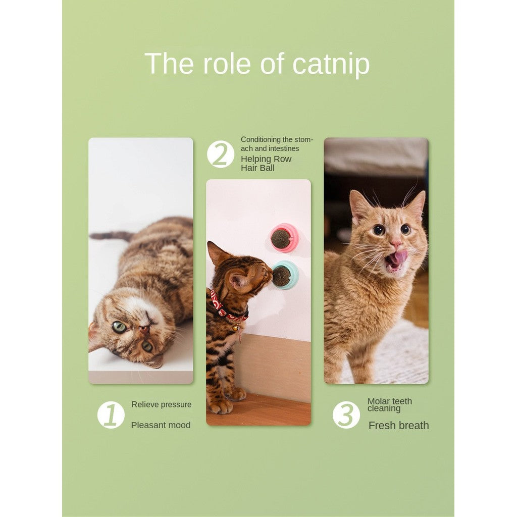 Crab & Avocado Catnip Toys - Self-Rolling Dental Chew Ball with Catnip |  for Teeth Cleaning & Play