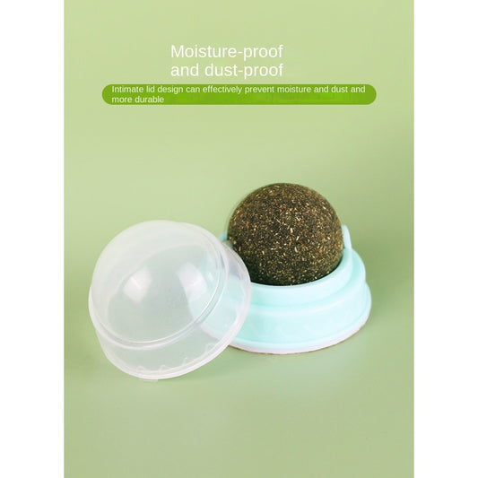 Crab & Avocado Catnip Toys - Self-Rolling Dental Chew Ball with Catnip |  for Teeth Cleaning & Play