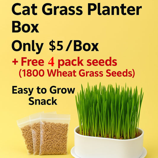 Kopipets Local Seller Cat Planter Box With Cat Wheat Grass Seeds Grow Cat Snacks Easily No Soil Need