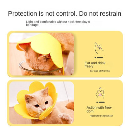 Cat Recovery Collar - Soft E-Collar for Post-Surgery, Anti-Lick & Scratch Protection
