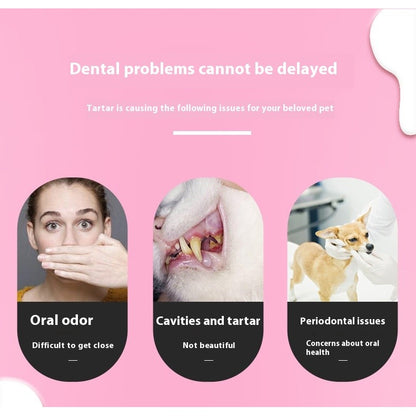 Kopipets Pet cat and dog toothpaste set to remove bad breath edible teeth cleaning products