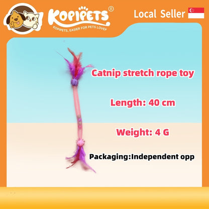 Cat Toy Set with Elastic Rope - Catnip Ball & Feather Teaser Wand | Kitten Teethering Chew Toys