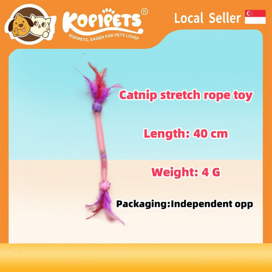 Cat Toy Set with Elastic Rope - Catnip Ball & Feather Teaser Wand | Kitten Teethering Chew Toys
