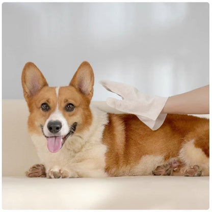 Kopipets Pet Disposable Grooming Mitts Gloves (2pcs) No-Rinse Bath Wipes Cat&Dog&Rabbit Odor Control