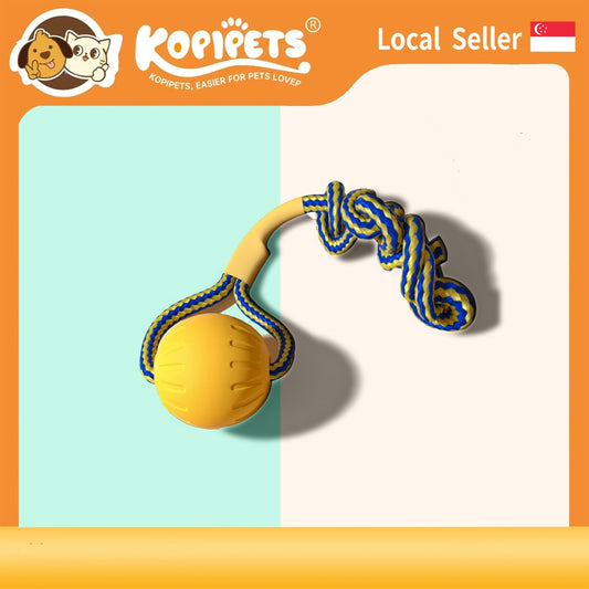 Dog Toy Ball Set - Chew-Proof Flying Disc & Ring for Small Breed Puppies