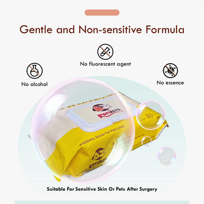 Kopipets Local Seller Moist Pet Wet Wipes 165mm×120mm 368g Alcohol-Free Extra Moist 30 Day Fresh