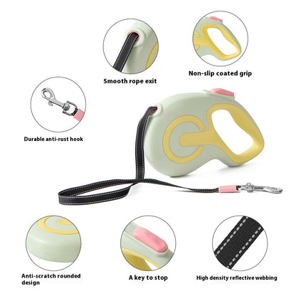 Kopipets Local Seller Multi-Color Automatic Retractable Leash for Small to Medium Pets Tangle-Free