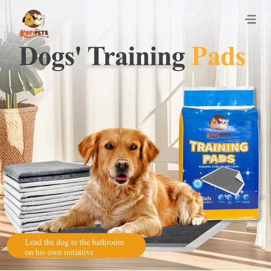 Kopipets Local Seller 1408g Activated Charcoal Pee Pads Super Absorbent 4-Side Adhesive Floor-Safety