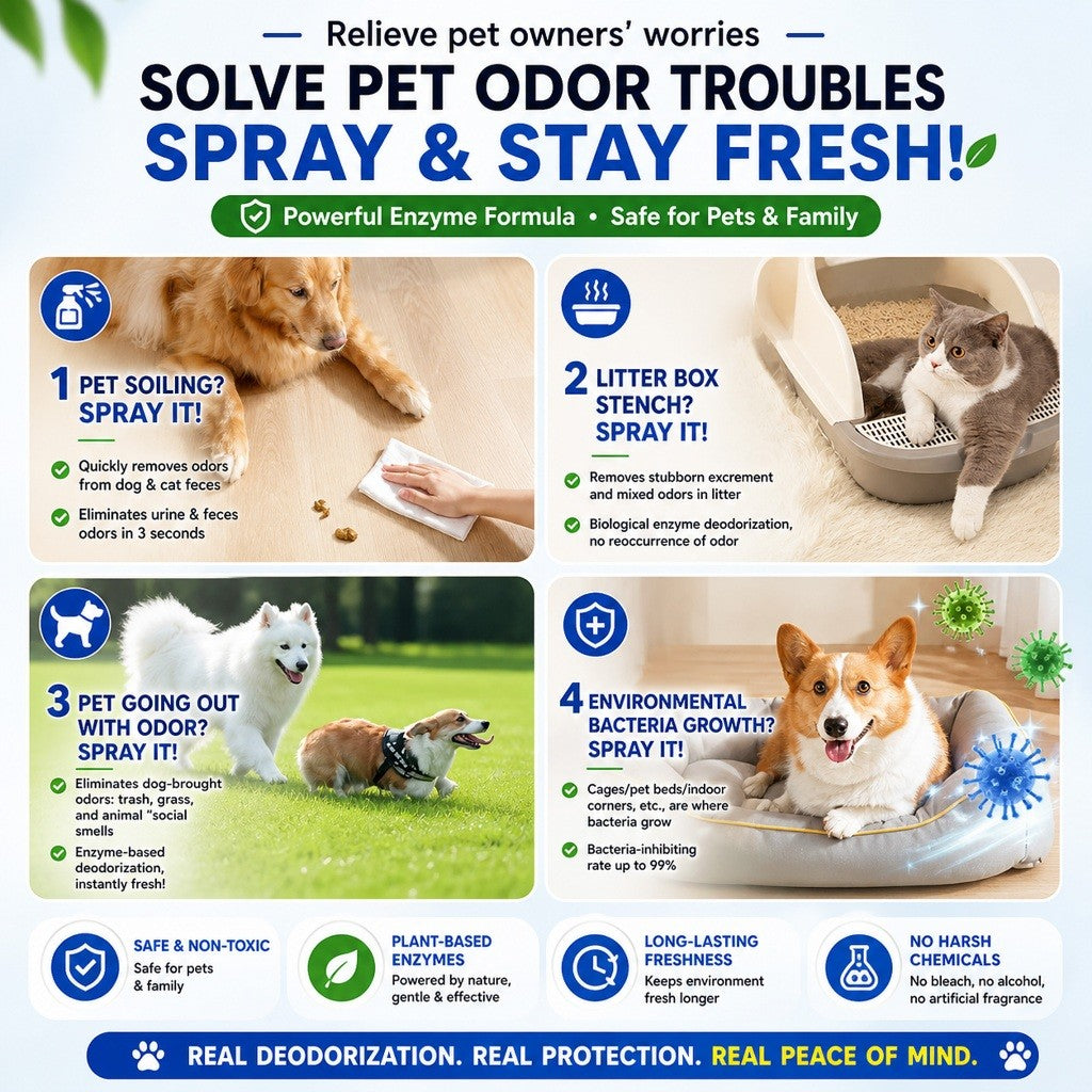 Kopipets Pet Enzyme Deodorizer Spray 300ML | 2L Set