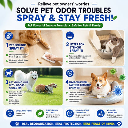 Kopipets Pet Enzyme Deodorizer Spray 300ML | 2L Set