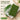 Kopipets pet grass toilet, Singapore – photo 4