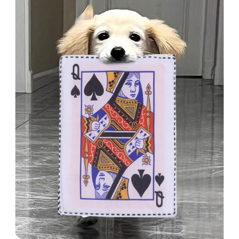 Kopipets Crinkle Paper Dog Toy – Realistic Newspaper Design with Squeaker | Ultra-Durable Chew & Mental Stimulation