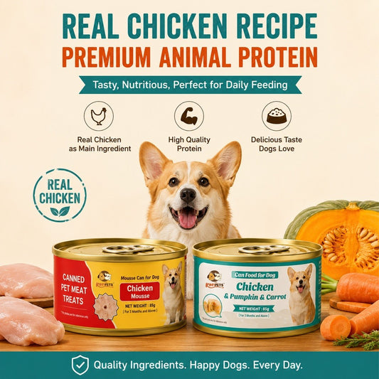 Kopipets Dog Wet Food 85g Chicken Mousse Chicken Pumpkin Carrot Complete & Balanced Dog Can Food