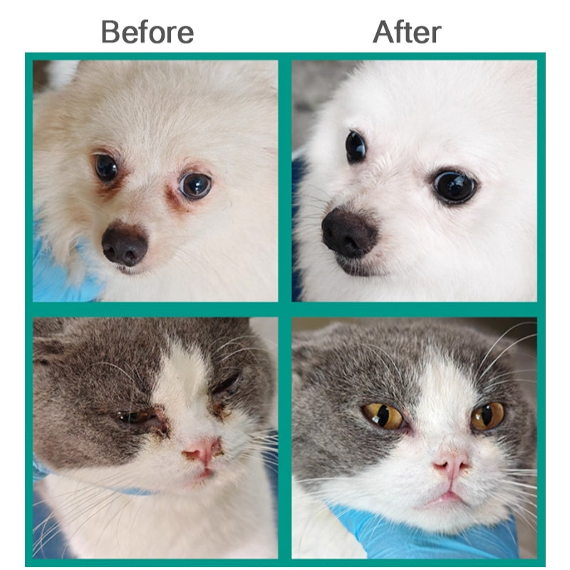 Kopipets Tear Stain Remover Gel 30g | Eye Care for Cats & Dogs | Removes Tear Stains | Cleans & Brightens | Safe Herbal