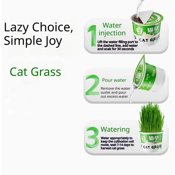 Kopipets Lazy Cat Grass Pot Hydroponic Soil-Free Hairball Aid Digestive Treat for Kittens Pet Snacks