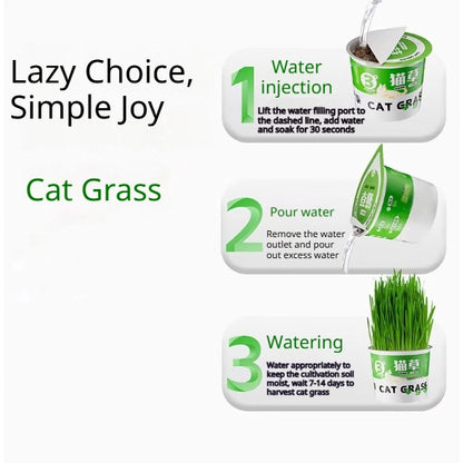 Kopipets Lazy Cat Grass Pot Hydroponic Soil-Free Hairball Aid Digestive Treat for Kittens Pet Snacks