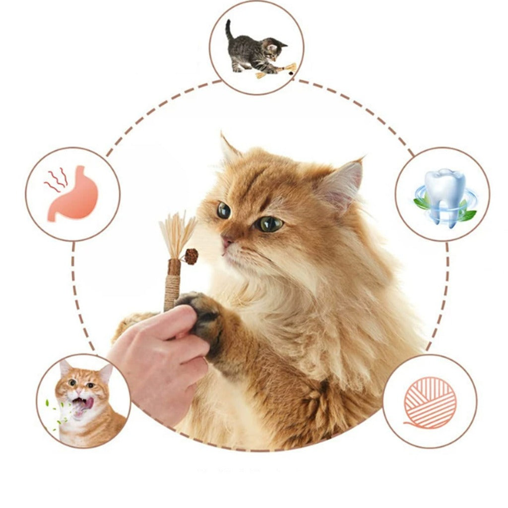 Kopipets Natural Cat Chew Stick Matatabi Catnip Rope Dental Toy for Kittens Teeth Cleaning Boredom Relief