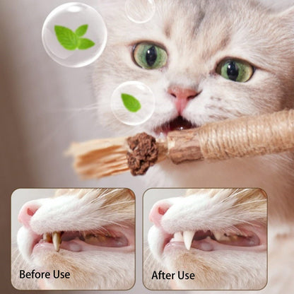 Kopipets Natural Cat Chew Stick Matatabi Catnip Rope Dental Toy for Kittens Teeth Cleaning Boredom Relief